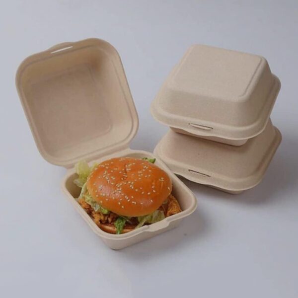 Environmentally Safe Bagasse Food Box, Pack of 25pcs